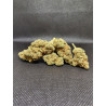 Lemon Tree