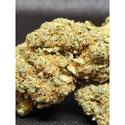 Lemon Tree