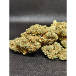 Lemon Tree