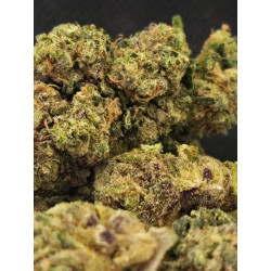 Alien OG