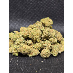 Gelato