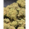 Gelato