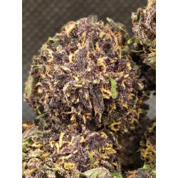 Sapphire kush BIO