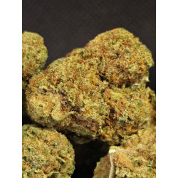 Red Berry