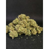 Tangie