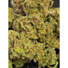 Tangie