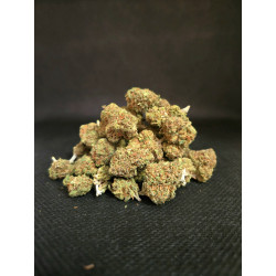 Gelato