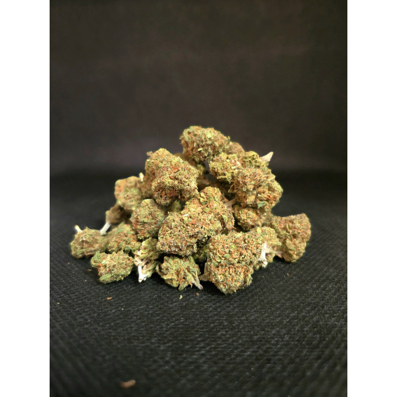 Gelato
