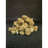 Gelato