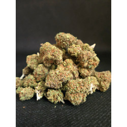 Gelato