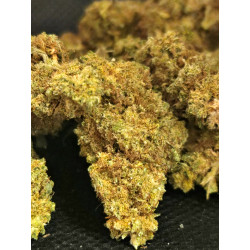 lemon-ice