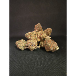 Blue Kush