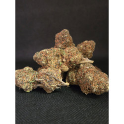 Blue Kush
