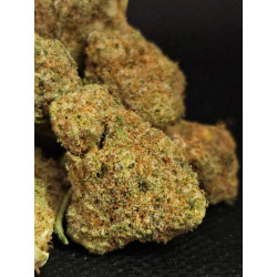 Lemon Diesel