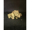 Tropicana Cherry