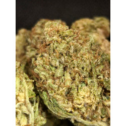 Tropicana Cherry
