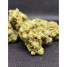 Amnesia Hy-pro