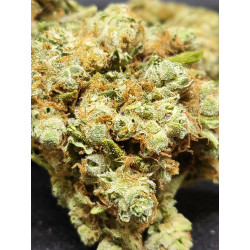 Amnesia Hy-pro
