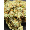 Amnesia Hy-pro